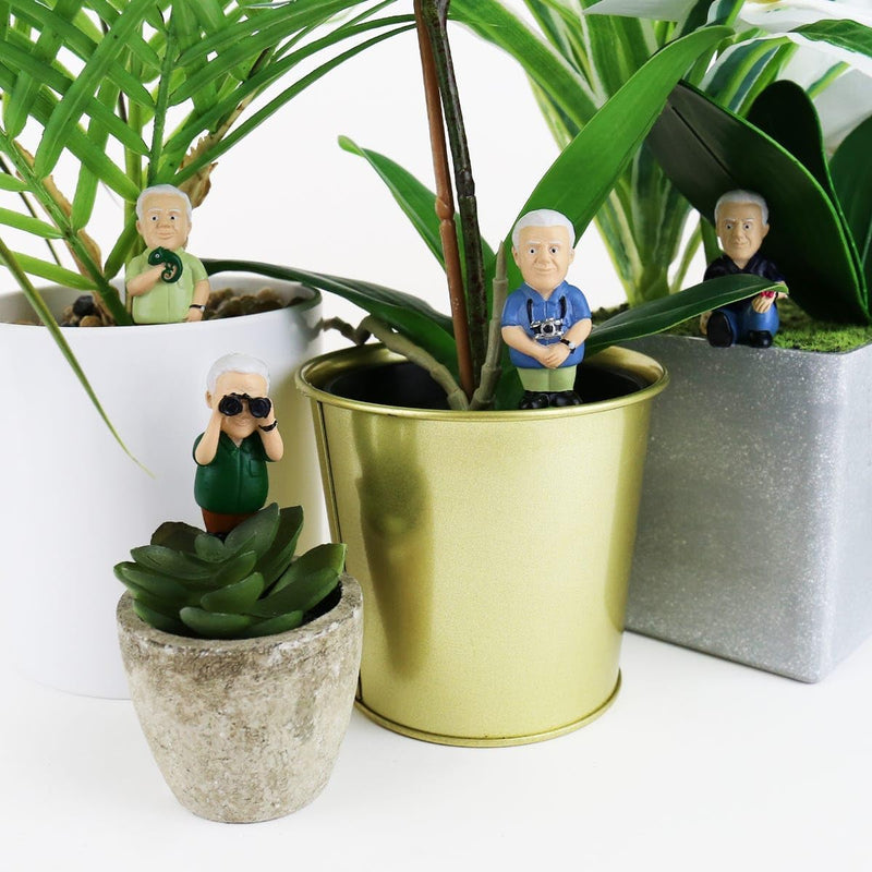 Mini Plant Pot Markers: Attenborough Explorers