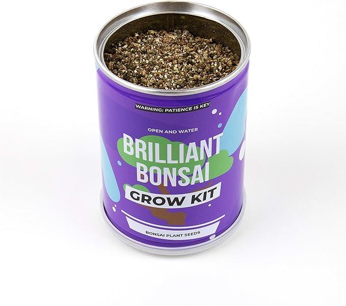 Grow Tin - Brilliant Bonsai