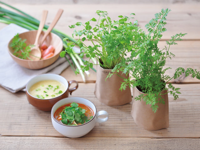 Soup Growing Kit - Mini Carrot