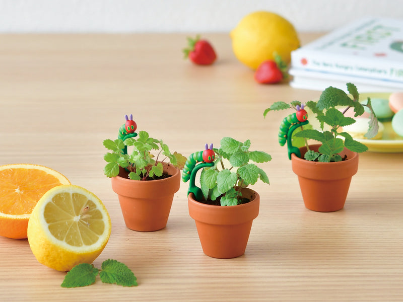 Grow A Plant - Mogumogu - The Very Hungry Caterpillar - Wild Strawberry