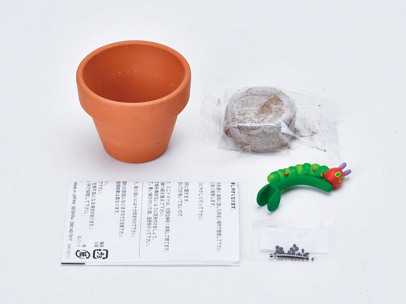 Grow A Plant - Mogumogu - The Very Hungry Caterpillar - Orange Balm