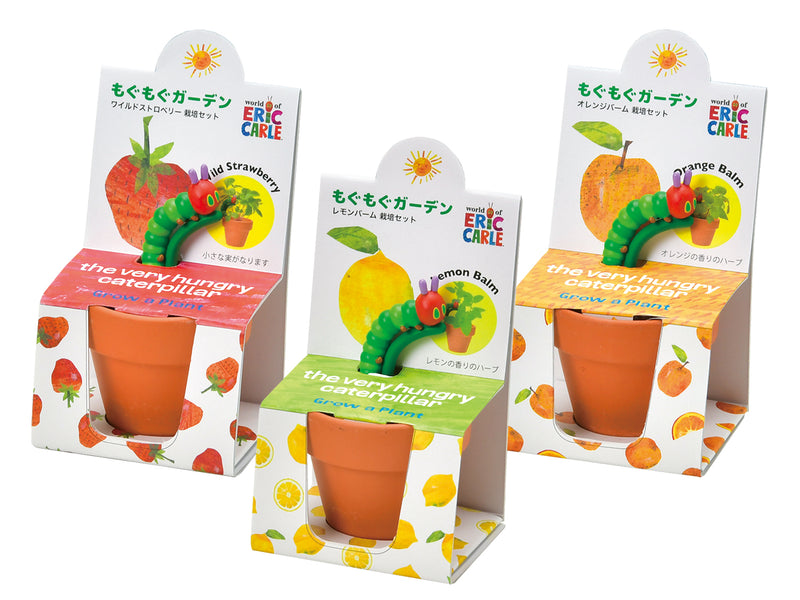 Grow A Plant - Mogumogu - The Very Hungry Caterpillar - Lemon Balm