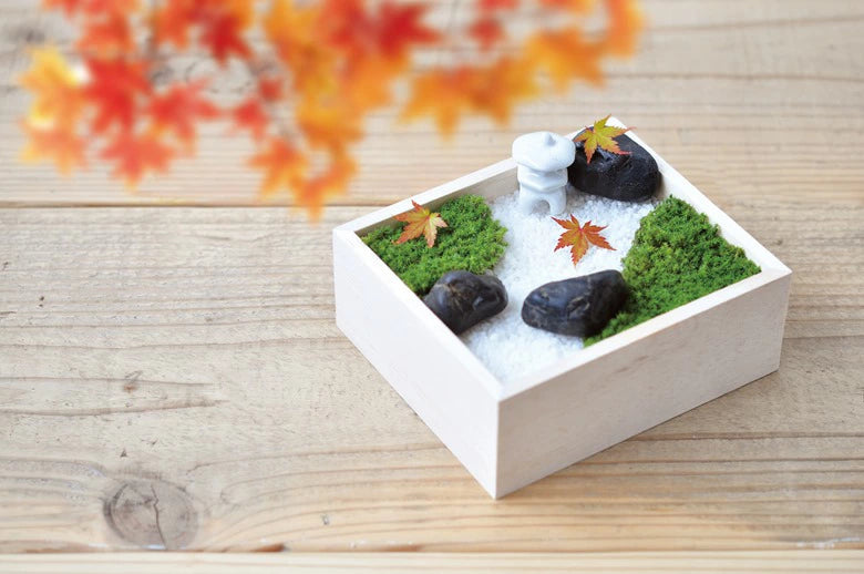 Koke Bon - Decorative Moss Garden Kit