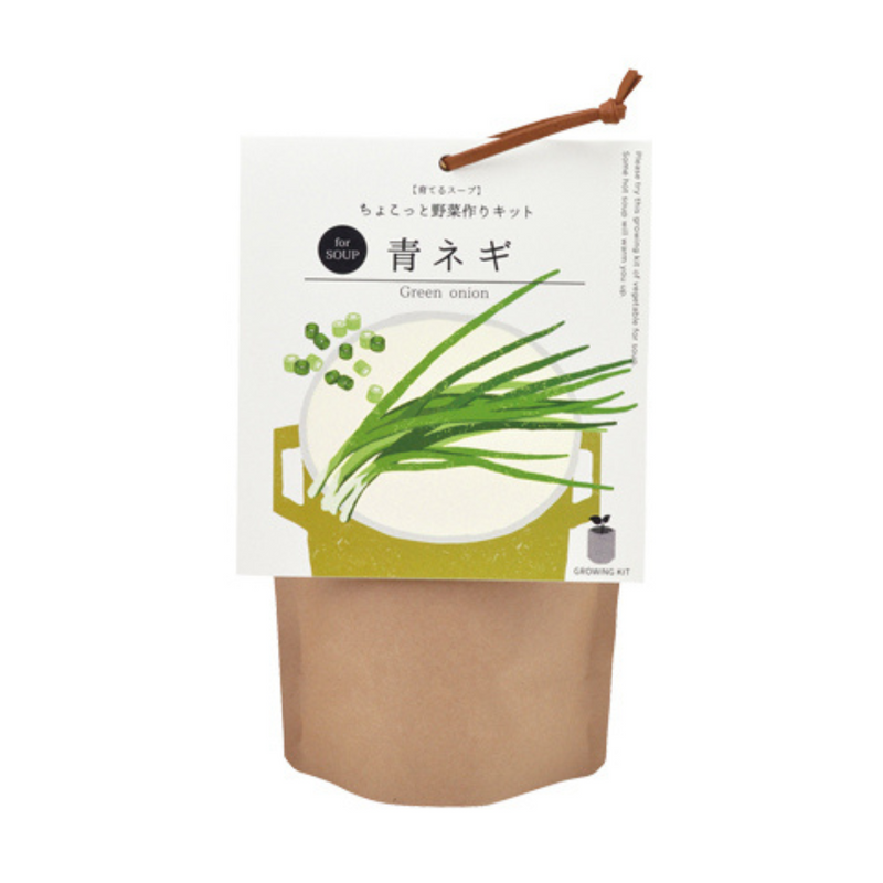 Soup Growing Kit - Green Onion