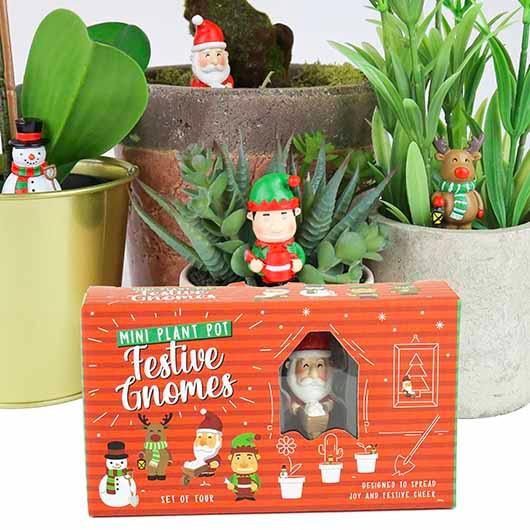 Mini Plant Pot Markers - Festive Gnomes