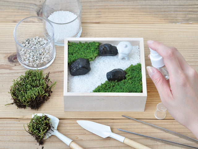 Koke Bon - Decorative Moss Garden Kit