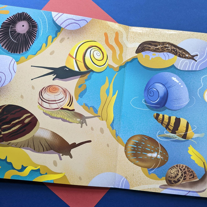 Nature Look and Find Board Book - Minibeasts