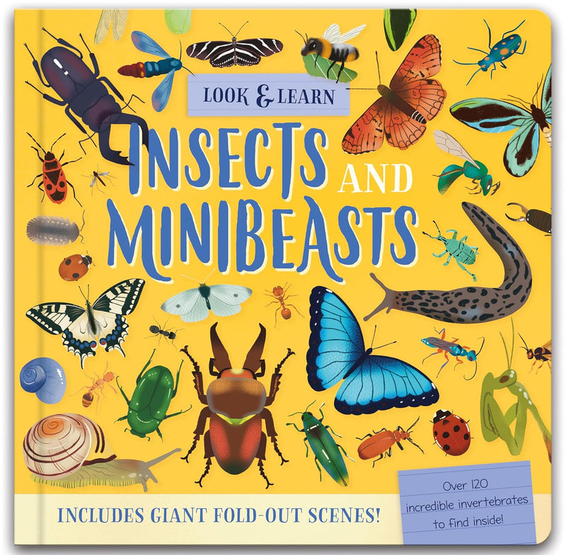 Nature Look and Find Board Book - Minibeasts