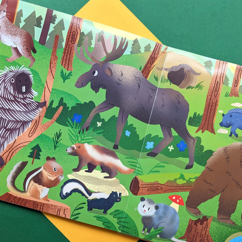 Nature Look and Find Board Book - Mammals