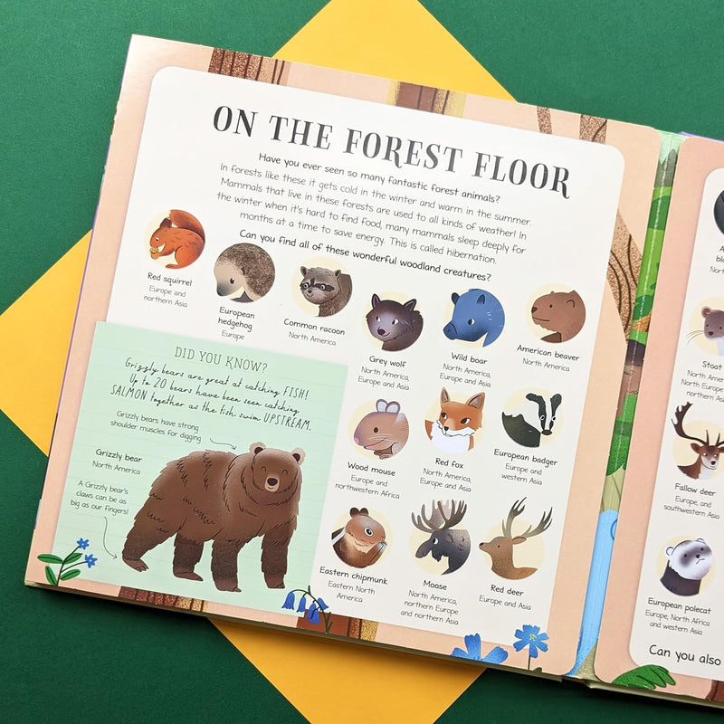 Nature Look and Find Board Book - Mammals