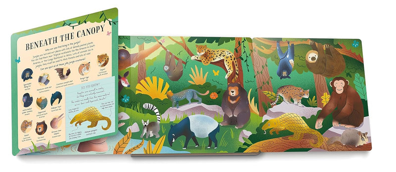 Nature Look and Find Board Book - Mammals