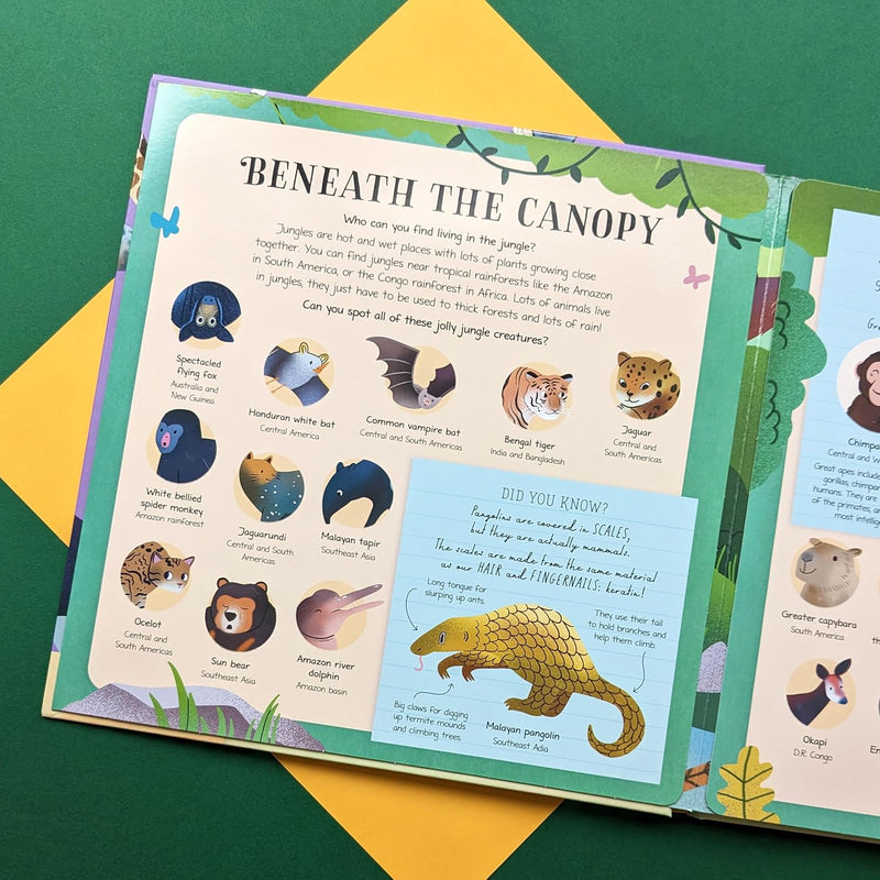 Nature Look and Find Board Book - Mammals