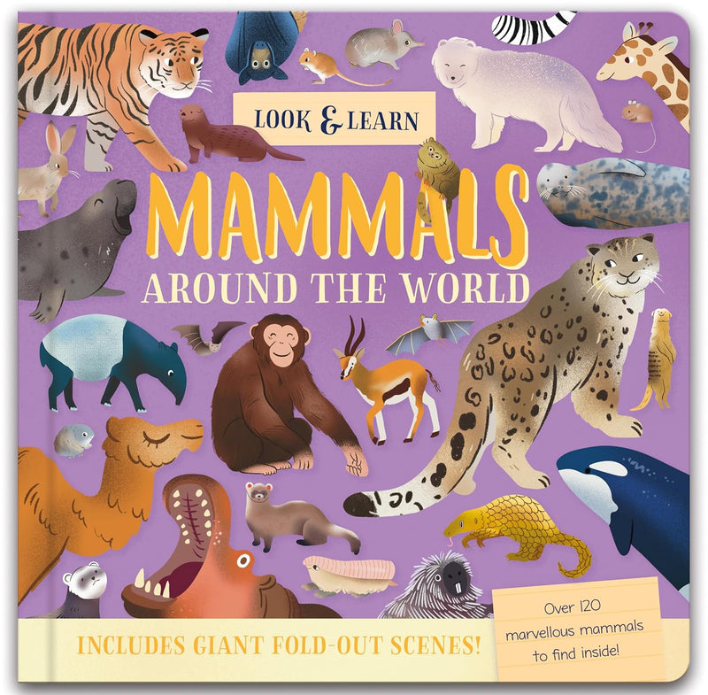 Nature Look and Find Board Book - Mammals