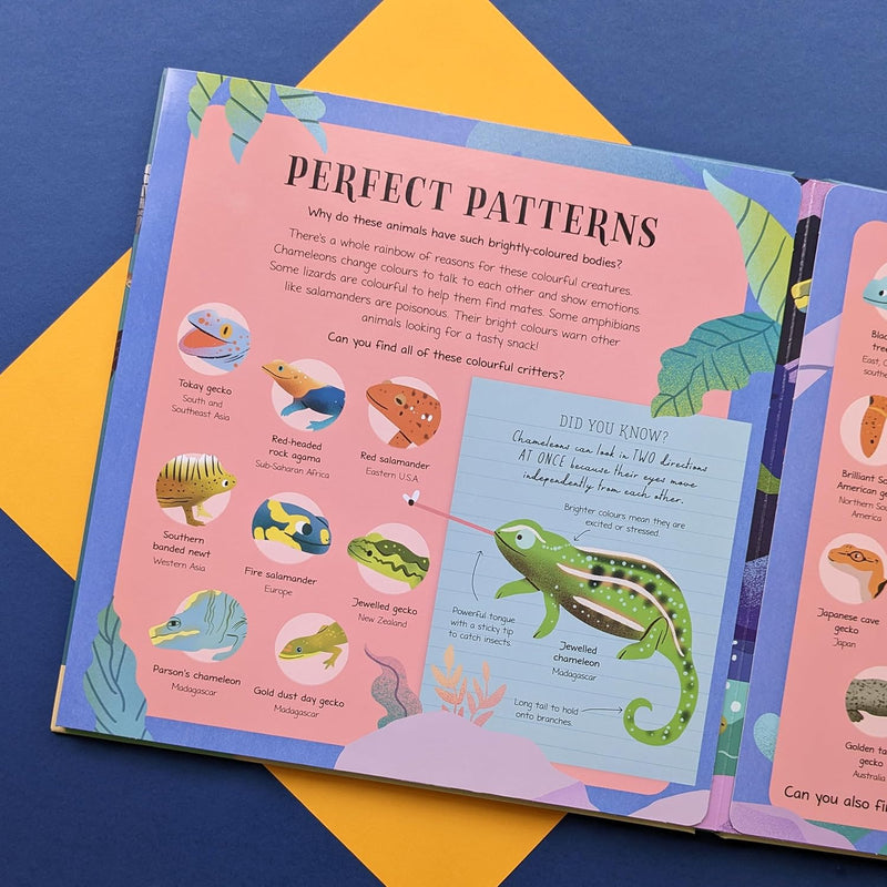 Nature Look and Find Board Book - Reptiles