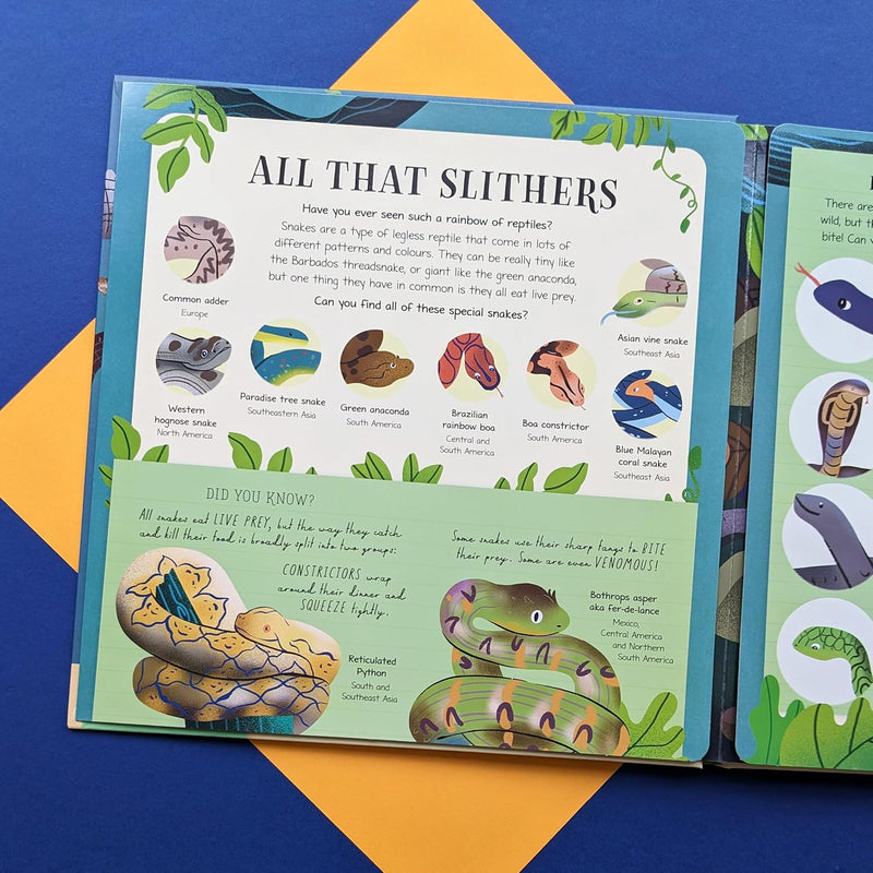 Nature Look and Find Board Book - Reptiles