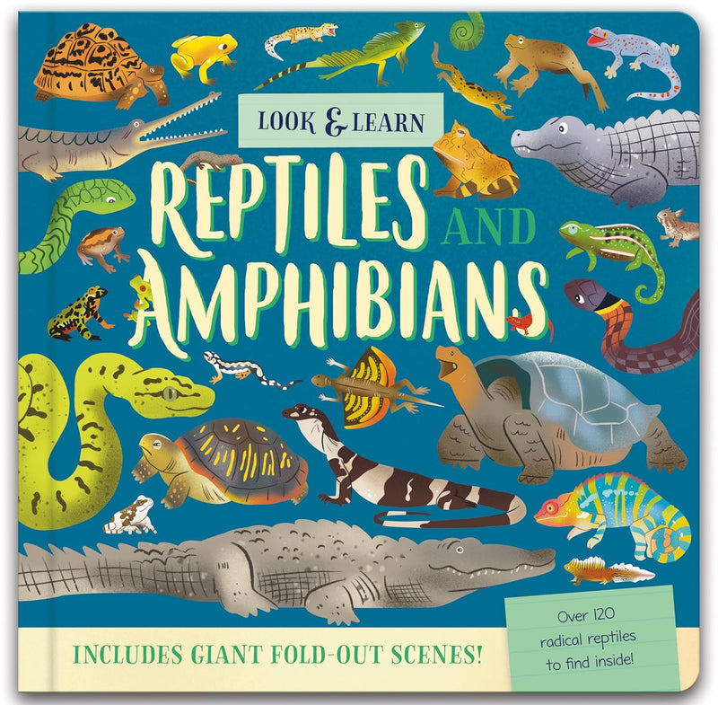 Nature Look and Find Board Book - Reptiles