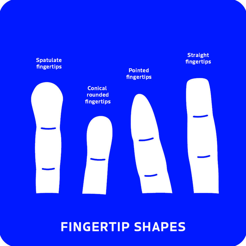 Palmistry Flashcards