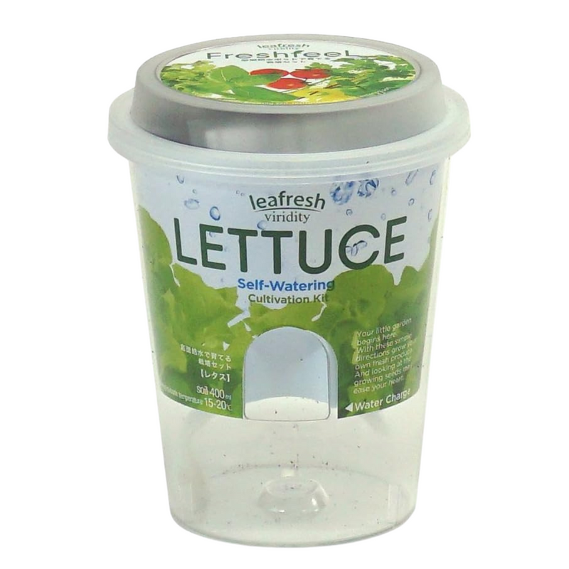 Self Watering Cultivation Kit - Lettuce