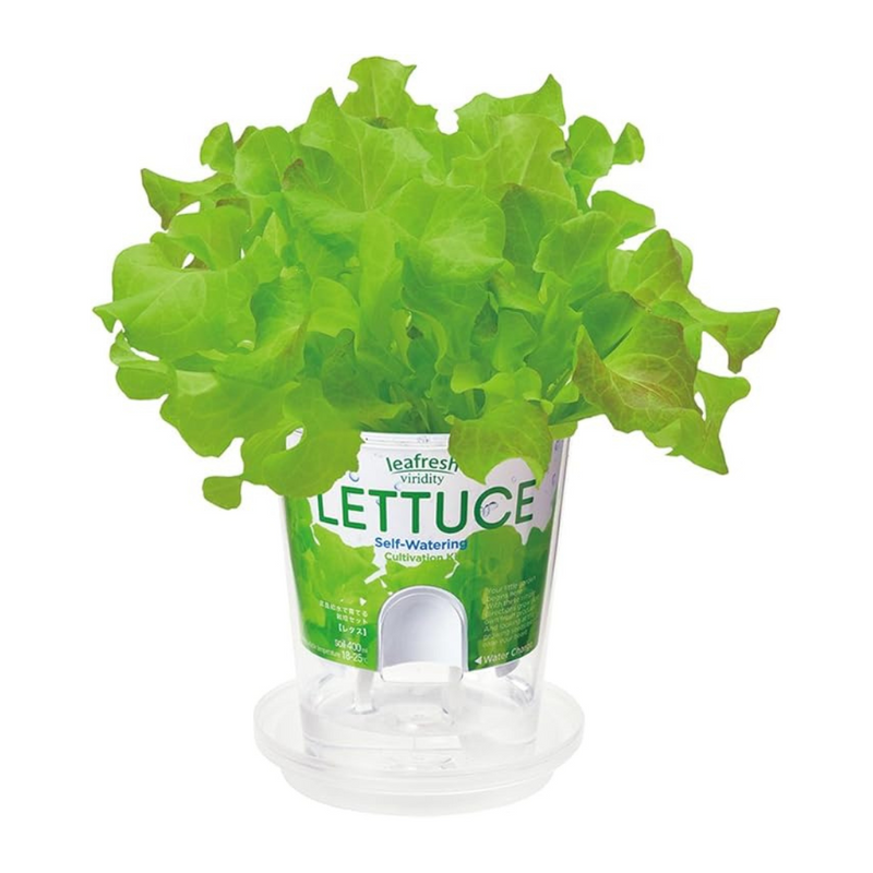 Self Watering Cultivation Kit - Lettuce