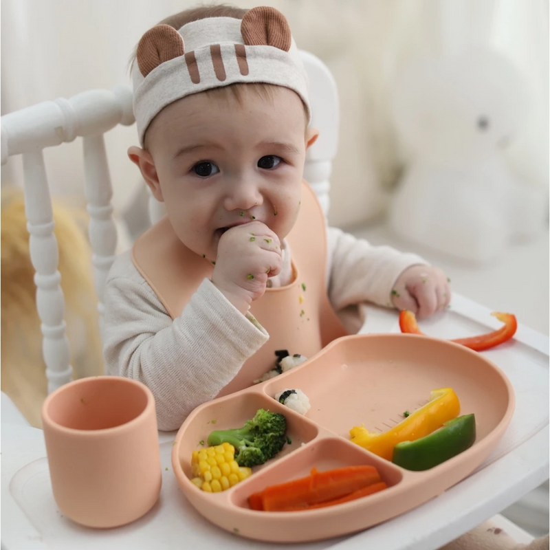 Silicone Feeding Bib