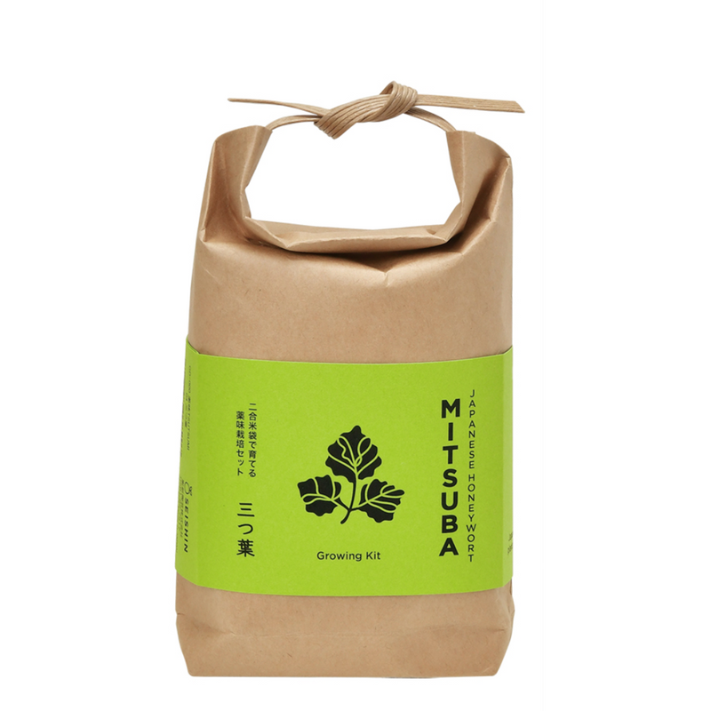 Tsutsumi Growing Kit - Mitsuba (Japanese Honeywort)