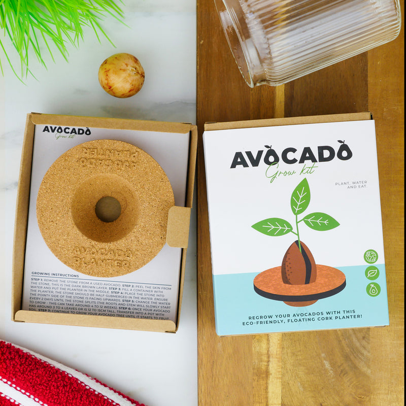 Avocado Grow Kit