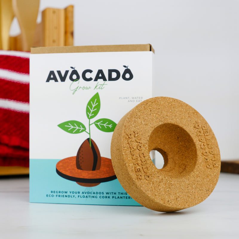 Avocado Grow Kit