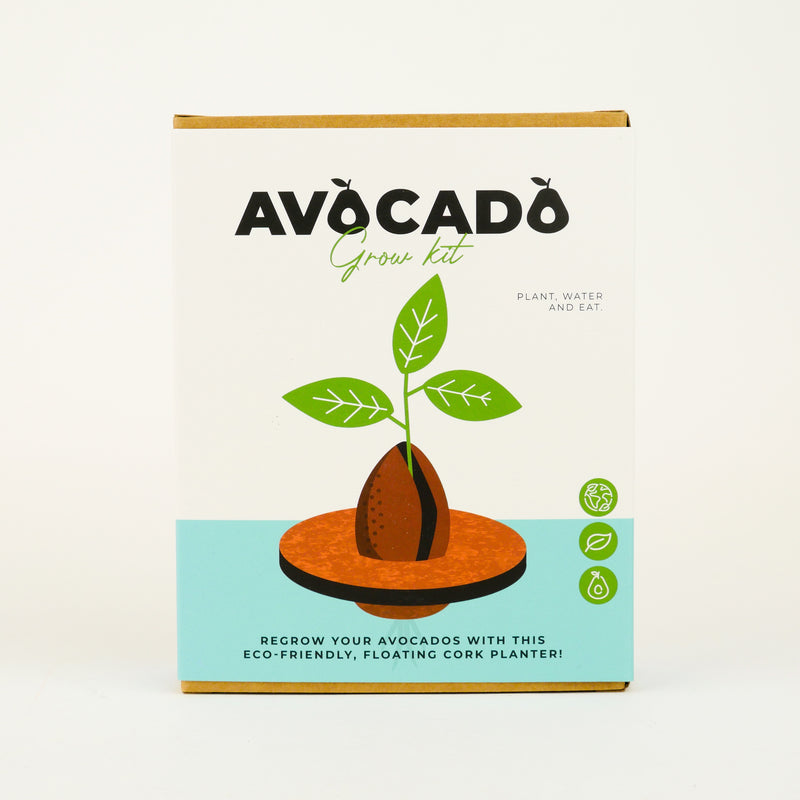 Avocado Grow Kit