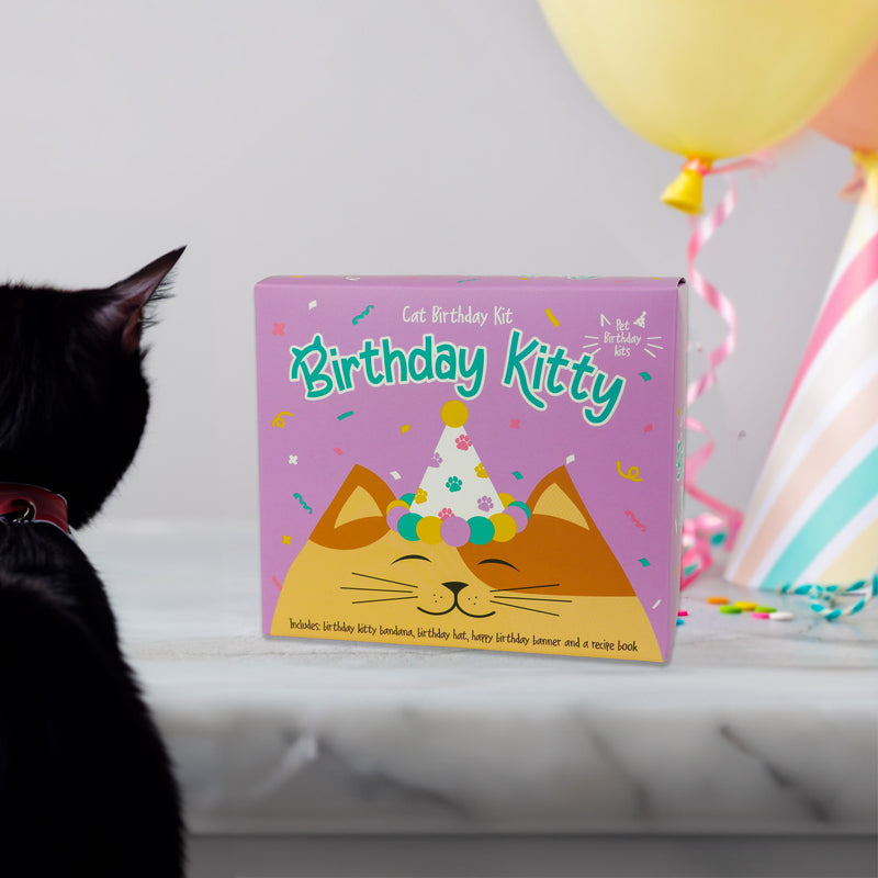 Birthday Kitty - Cat Birthday Kit