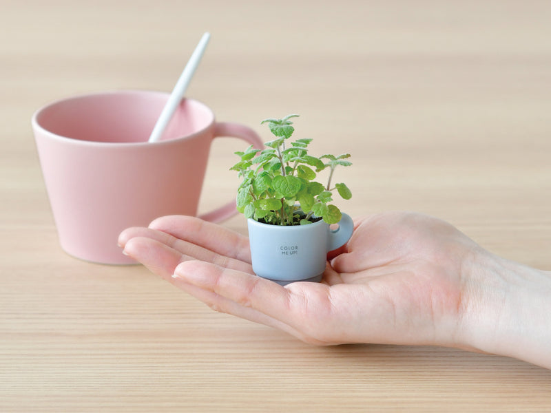 Colour Me Up Mug - Pink - Wild Strawberry