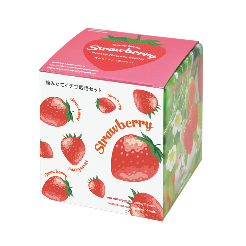 Growing Kit - Strawberry