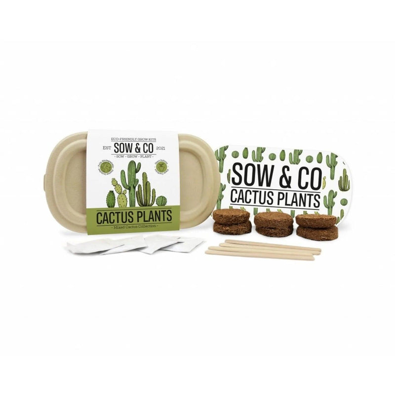 Sow & Co. Plants - Cactus