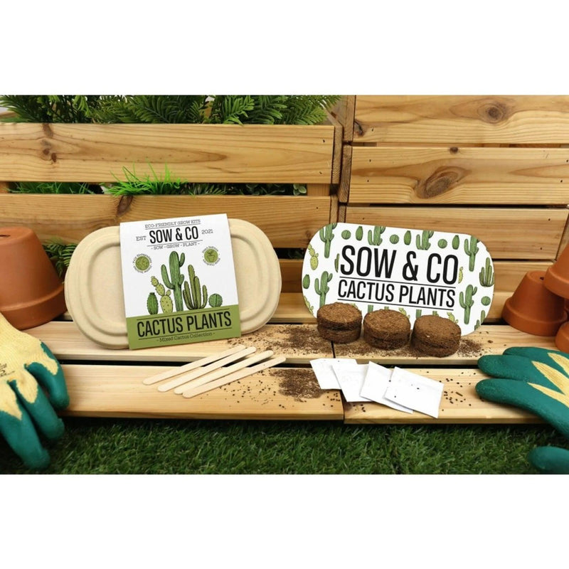 Sow & Co. Plants - Cactus