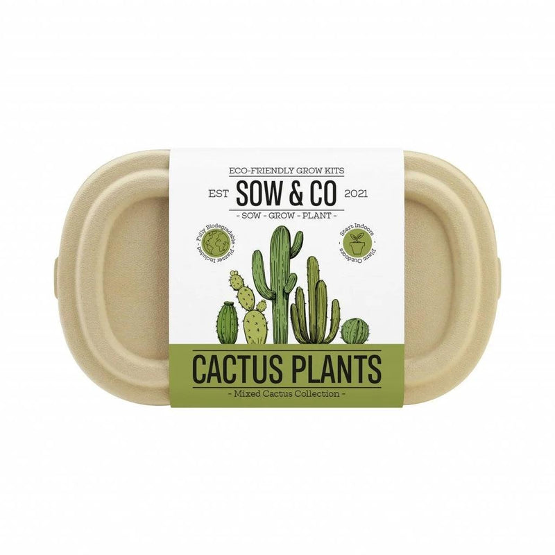 Sow & Co. Plants - Cactus