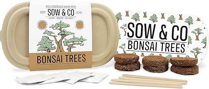 Sow & Co. Plants - Bonsai Trees